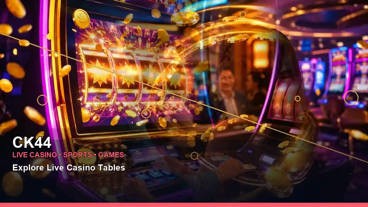 CK44 লাইভ ক্যাসিনো ও স্পোর্টস গেমস | Bangladesh live gaming — live table focus · 1 — cat fishing